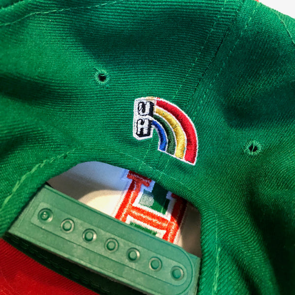 Vintage 90s University of Hawaii Rainbow Warriors Snapback Hat | Beyond 94