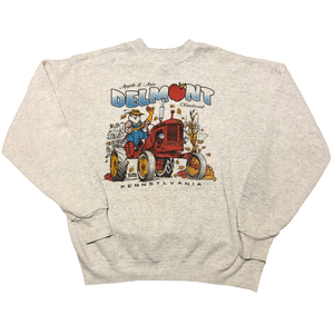 1996 Apple & Ants Delmont Festival Sweatshirt Grey Size Large - Beyond 94